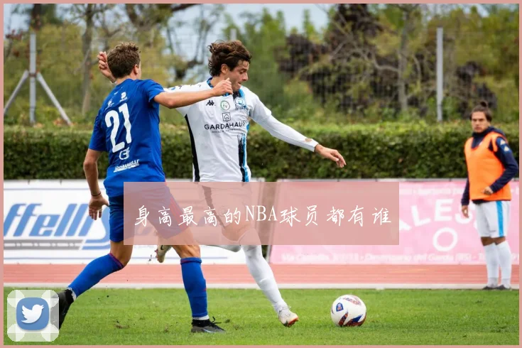 身高最高的NBA球员都有谁