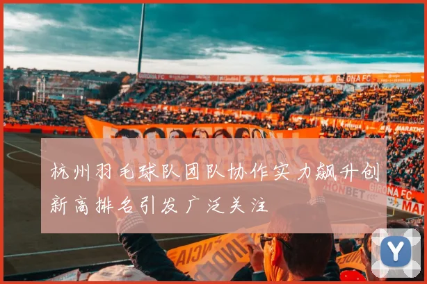 杭州羽毛球队团队协作实力飙升创新高排名引发广泛关注
